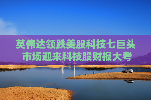 英偉達(dá)領(lǐng)跌美股科技七巨頭 市場(chǎng)迎來(lái)科技股財(cái)報(bào)大考