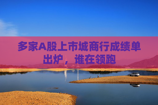 多家A股上市城商行成績單出爐，誰在領(lǐng)跑