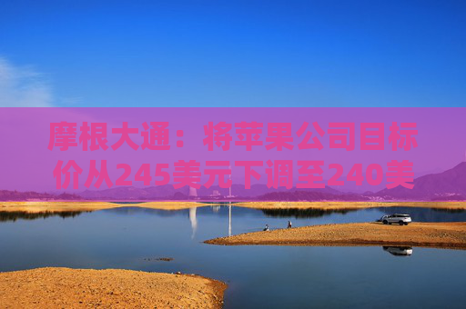 摩根大通：將蘋果公司目標價從245美元下調(diào)至240美元