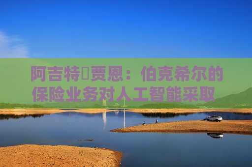 阿吉特?賈恩：伯克希爾的保險業(yè)務對人工智能采取 “觀望” 態(tài)度