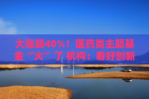 大漲超40%！醫(yī)藥類主題基金“火”了 機(jī)構(gòu)：看好創(chuàng)新藥投資機(jī)會