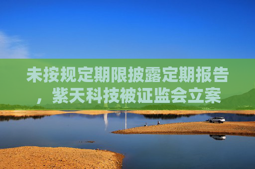 未按規(guī)定期限披露定期報告，紫天科技被證監(jiān)會立案