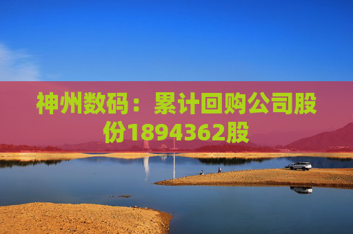 神州數(shù)碼：累計回購公司股份1894362股