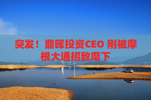 突發(fā)！鼎暉投資CEO 剛被摩根大通招致麾下