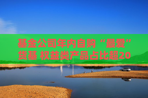 基金公司年內(nèi)自購(gòu)“最愛(ài)”貨基 權(quán)益類產(chǎn)品占比超20%