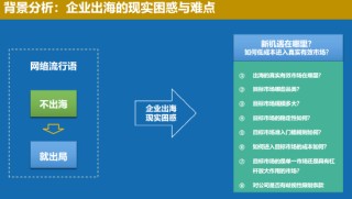 中國聯(lián)合國采購促進(jìn)會(huì)宋嘉：企業(yè)出海是一種戰(zhàn)略選擇
