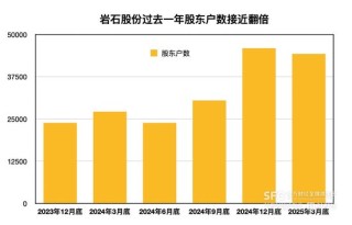 巖石股份披星戴帽落定：三十年來十度更名，暴雷后新增2萬多名股東