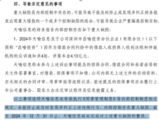 300205，董事失信，還在履職？！