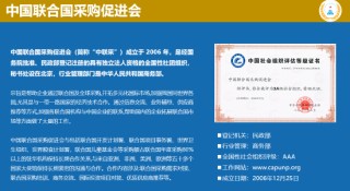 中國聯(lián)合國采購促進(jìn)會(huì)宋嘉：企業(yè)出海是一種戰(zhàn)略選擇