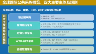 中國聯(lián)合國采購促進(jìn)會(huì)宋嘉：企業(yè)出海是一種戰(zhàn)略選擇