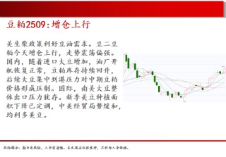 中天期貨:棕櫚大漲的高位調(diào)整 尿素繼續(xù)大漲
