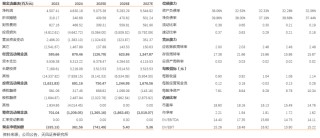 川投能源：24年Q4投資收益拖累全年業(yè)績(jī)，25年Q1表現(xiàn)亮眼