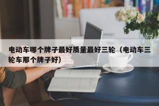 電動車哪個牌子最好質量最好三輪（電動車三輪車那個牌子好）