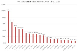 2025年上半年單只ETF規(guī)模增長TOP50榜單：寬基指數(shù)、黃金與港股主題、債券類“受寵”(附圖)