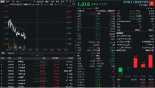 光模塊走高，新易盛領(lǐng)漲4%，機構(gòu)：東西共振，算力或迎新機會！創(chuàng)業(yè)板人工智能ETF華寶（159363）獲加倉