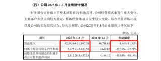 “寧王”“迪王”小伙伴，申購！