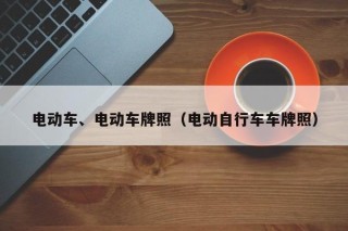電動(dòng)車、電動(dòng)車牌照（電動(dòng)自行車車牌照）
