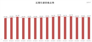 每日豬訊3.25
