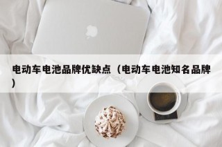 電動(dòng)車電池品牌優(yōu)缺點(diǎn)（電動(dòng)車電池知名品牌）