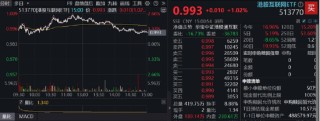 跑贏恒生科技，港股互聯(lián)網(wǎng)緣何領(lǐng)漲？機構(gòu)：行情第二階段，邏輯有變