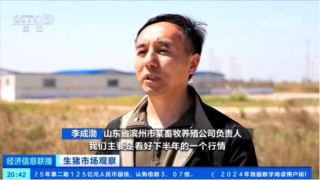 出欄了！頭均可賺150-200，五一備貨提振豬價