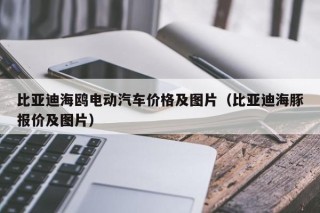 比亞迪海鷗電動(dòng)汽車價(jià)格及圖片（比亞迪海豚報(bào)價(jià)及圖片）