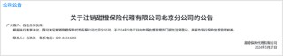 6993萬(wàn)元！翼支付轉(zhuǎn)讓旗下保險(xiǎn)代理公司