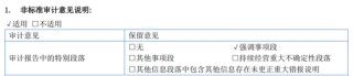 又一A股審計“自爆”！23年IPO上市，次年就財務(wù)造假？
