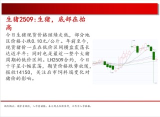 中天期貨:原油500關(guān)口震蕩 棕櫚上漲加速度