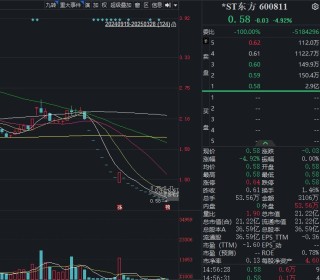 31年老牌上市公司*ST東方鎖定退市！此前連續(xù)十一個(gè)跌停