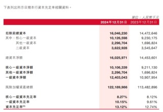 瀘州銀行募資補充核心一級資本 去年關注類貸款金額翻倍