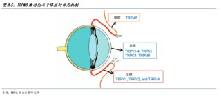 【國金醫(yī)藥·行業(yè)周報】創(chuàng)新藥密集獲批，后續(xù)關(guān)注國采、國談進展