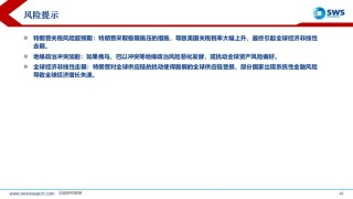 【申萬(wàn)宏源策略】溢價(jià)收斂，龍頭為先——2025年中期美股策略觀點(diǎn)