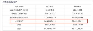 京基智農(nóng)低估值之謎？巨額地產(chǎn)項(xiàng)目是否被大股東分食 大股東有無掏空之嫌