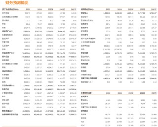 川投能源：24年Q4投資收益拖累全年業(yè)績(jī)，25年Q1表現(xiàn)亮眼