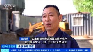 出欄了！頭均可賺150-200，五一備貨提振豬價