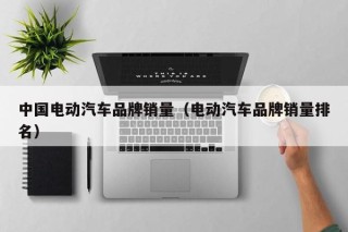 中國電動汽車品牌銷量（電動汽車品牌銷量排名）