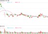 *ST九有退市 財(cái)務(wù)造假曝光！5月以來已有8家公司收到交易所終止上市決定