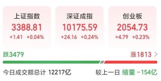 凈流入A股第一！002463，漲停