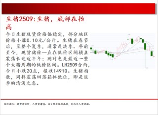 中天期貨:棉花重新走弱 棕櫚探底回升