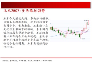 中天期貨:棉花重新走弱 棕櫚探底回升