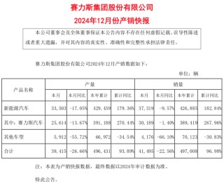 終于賺錢了！賽力斯集團(tuán)財(cái)報(bào)發(fā)布