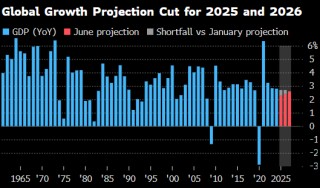 世界銀行將2025年全球經(jīng)濟(jì)增長(zhǎng)預(yù)期下調(diào)至2.3%