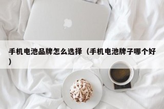 手機電池品牌怎么選擇（手機電池牌子哪個好）