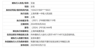 300205，董事失信，還在履職？！