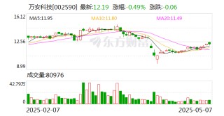 萬安科技：公司尚未進行股份回購