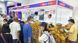 好博會 | 孩子嘗了一口說不錯！“寶媽”搶購臺灣鳳梨：價格實惠還好吃