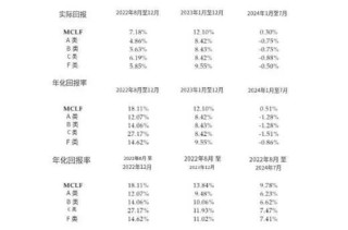 “不差錢”的李小加，勇闖港交所