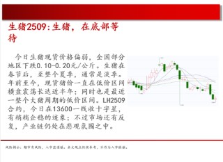 中天期貨:商品指數(shù)停頓震蕩 棕櫚震蕩