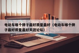 電動(dòng)車哪個(gè)牌子最好質(zhì)量最好（電動(dòng)車哪個(gè)牌子最好質(zhì)量最好天涯論壇）